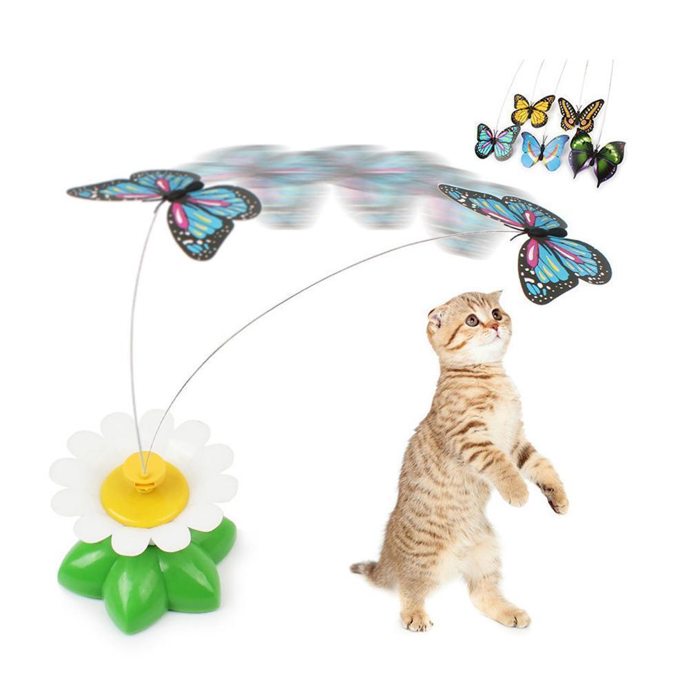Jouets interactifs pour chats | Ninalo™